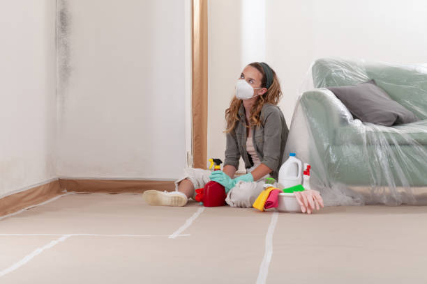Reliable Bathroom Mold Removal contractor in Shelbyville, IL by 24 Hour Mold Removal